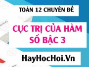 Cách tìm cực trị của hàm số bậc 3 (tìm cực đại, cực tiểu của hàm số bậc 3) - Toán 12 chuyên đề